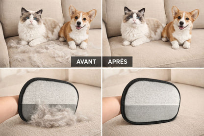 Dites adieu aux poils de chiens et chats en quelques secondes